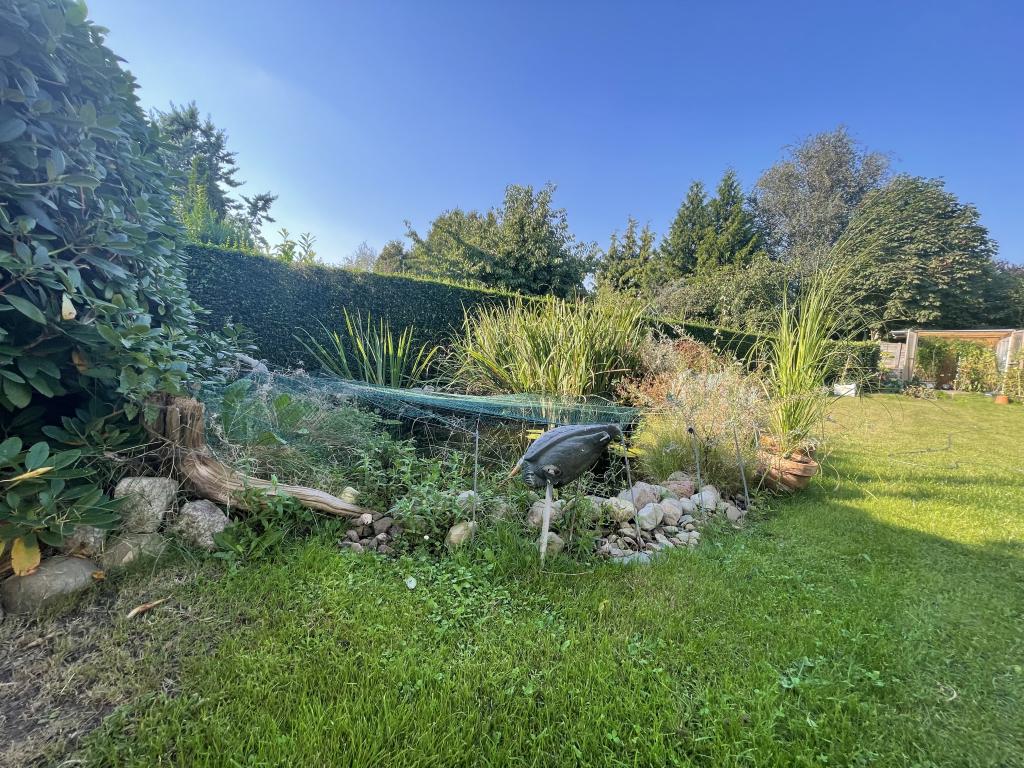 Zweifamilienhaus: Gartenteich